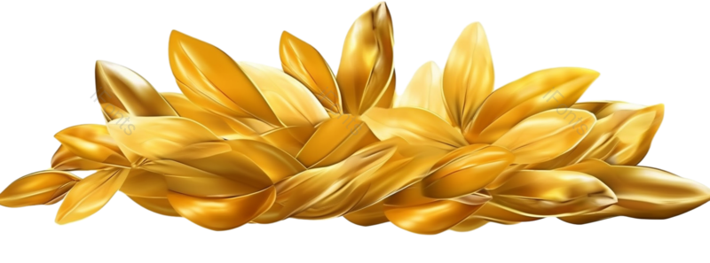 小满图片,秋天元素,麦子PNG,麦穗免抠素材